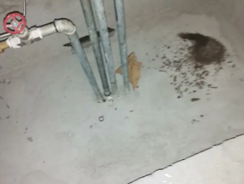 孟津卫生间测漏水价格明细